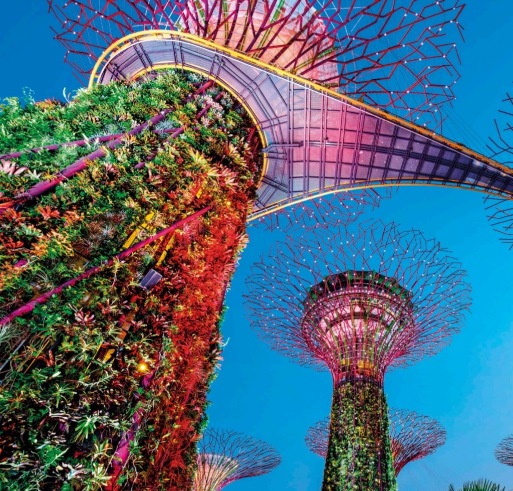 Supertrees at Garden Bay in Singapore